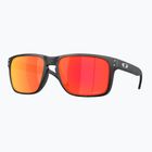 Окуляри сонцезахисні Oakley Holbrook XXL matte black camo/prizm ruby