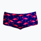 Плавки чоловічі Funky Trunks Sidewinder Trunks flocked up