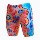 Джамери чоловічі Funky Trunks Fast Training Jammer kulin colour