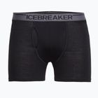 Труси термічні чоловічі Icebreaker Anatomica wFly black