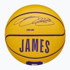Баскетбольний м'яч Wilson NBA Player Icon Mini Lebron WZ4007201XB3 Розмір 3