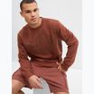 Кофта чоловіча GAP Logo Crewneck burnt russet