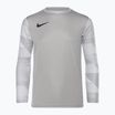 Футболка воротарська дитяча Nike Dri-FIT Park IV гoalkeeper pewter гrey/white/black