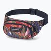 Підсумок для нирок Dakine Hip Hip dark starazer
