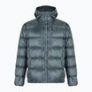 Пуховик чоловічий Patagonia Fitz Roy Down Hoody nouveau green