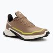 Чоловічі кросівки Salomon Alphacross 5 caribou/canteen/ulphr
