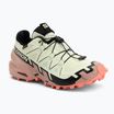 Кросівки для бігу жіночі Salomon Speedcross 6 GTX lime cream/mahogany rose/black