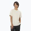 Футболка чоловіча Salomon Logo Tee rainy day