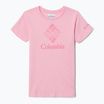Футболка трекінгова дитяча Columbia Mission Lake Graphic wild rose/csc stacked banded graphic