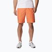 Шорти трекінгові чоловічі Columbia Washed Out desert orange