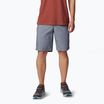 Шорти трекінгові чоловічі Columbia Washed Out grey ash