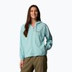 Кофта трекінгова жіноча Columbia Skien Valley Hooded spray