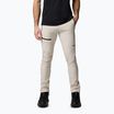 Штани трекінгові чоловічі Columbia Titan Pass Pant II dark stone