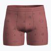 Боксерки термічні icebreaker Merino150 Anatomica Boxers Explore More plume/aop