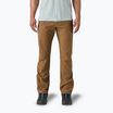 Штани трекінгові чоловічі Patagonia Terravia Trail Regular coriander brown