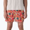 Шорти чоловічі Patagonia Baggies 5" wrasse/pollinator orange