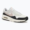 Кросівки жіночі Nike Air Max SC Platinum tint/black/sail/platinum violet