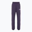 Штани жіночі Nike Sportswear Fleece dark raisin