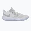 Кросівки Nike Zoom Hyperspeed Court SE smmit white/metalic silver/pure platinum