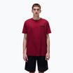 Футболка чоловіча Napapijri S-Vignonil Back tibetan red R1E