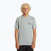 Кар'єрна дитяча футболка Quiksilver Everyday Surf Tee