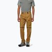 Чоловічі трекінгові штани Salewa Puez Hemp/Dst 2/1 золотисто-коричневі