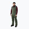 Штани гірські чоловічі DYNAFIT Tigard GTX thyme