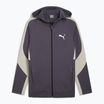 Кофта чоловіча PUMA Evostripe Hoodie FZ DK galactic gr