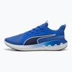 Кросівки для бігу PUMA Softride Carson vivid blue/puma navy