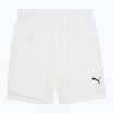Шорти баскетбольні чоловічі PUMA teamJAWS Starter puma white