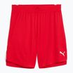 Шорти баскетбольні чоловічі PUMA teamJAWS Starter for all time red