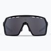 Окуляри сонцезахисні Endura Singletrack black/platinum revo smoke/clear silver flash mirror