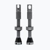 Набір клапанів presta Peaty's X Chris King Mk2 Tubeless Valves PTV2-42-SLT-12 сірий 83778