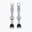 Набір клапанів presta Peaty's X Chris King Mk2 Tubeless Valves PTV2-42-SIL-12 Wentyl Peaty'S X Chris King Mk2 Tubeless Valves PTV2-42-SIL-12 сірий 83777