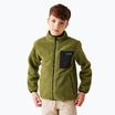 Дитячий світшот REGATTA Junior Frankie Full Zip нефритовий зелений