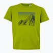 Футболка дитяча REGATTA Alvarado IX grenoble green
