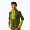 Кофта флісова дитяча REGATTA Dissolver X nephrite green/grenoble green/black