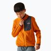 Кофта флісова дитяча REGATTA Frankie Full Zip fox