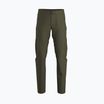 Чоловічі трекінгові штани Arc'teryx Gamma SL tatsu