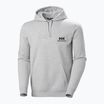 Чоловіче худі Helly Hansen Nord Graphic Pull Over худі сірий меланж 2