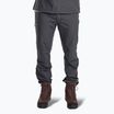 Штани трекінгові чоловічі Pinewood Finnveden Sports Light ash grey