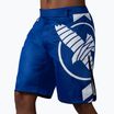 Шорти для тренувань Hayabusa Icon Fight blue/white