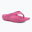 В'єтнамки жіночі Ellesse Aletha fuxia