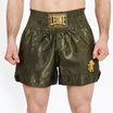 Шорти боксерські чоловічі LEONE 1947 Basic 2 green
