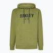 Кофта чоловіча Oakley PO Hoodie fern