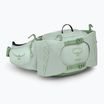 Сумка-бананка Osprey Tempest 6 л frosty mint/ green botanica