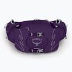 Сумка-бананка жіноча Osprey Tempest 6 л violac purple