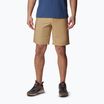 Шорти трекінгові чоловічі Columbia Washed Out crouton