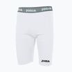 Шорти термічні чоловічі Joma Warm Fleece blanco