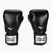 Рукавиці боксерські Everlast Pro Style 2 чорні EV2120 BLK